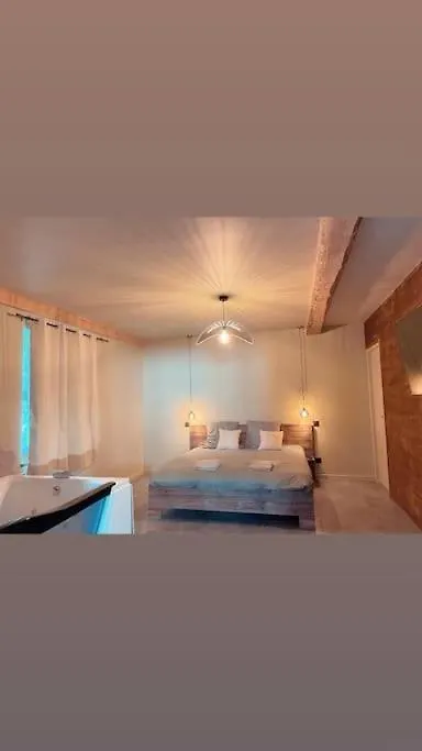 Superbe Appartement Avec Jacuzzi Et Jardin Prive Marlhes